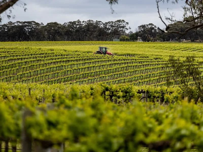 High 'n' Dry Self-Storage winery in Norville, QLD