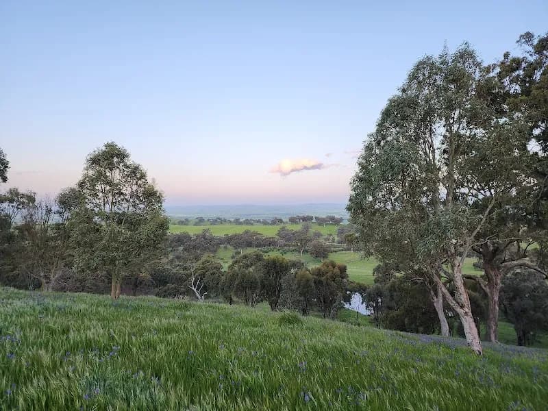 Gecko Valley Winery winery in QLD