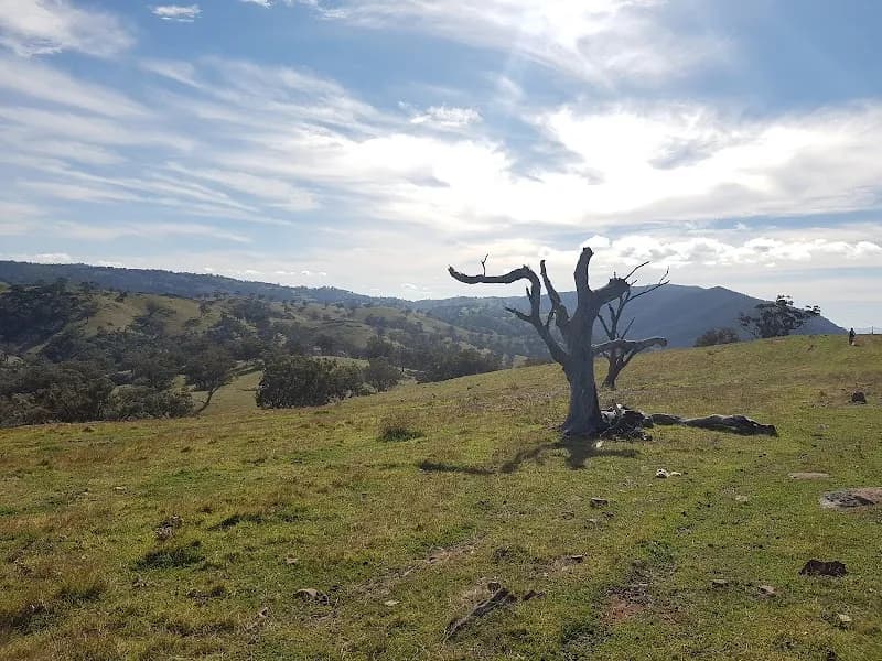 Gecko Valley Winery winery in QLD