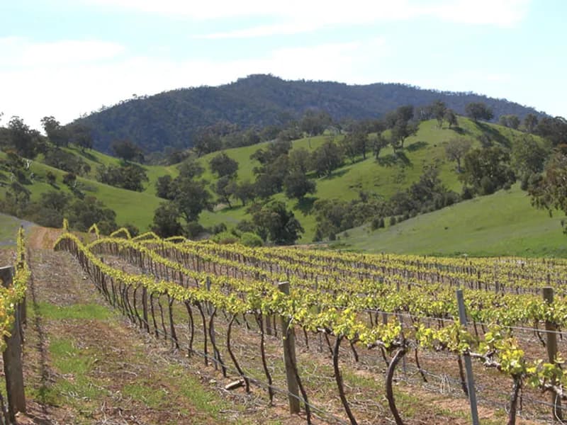 Gecko Valley Winery winery in QLD