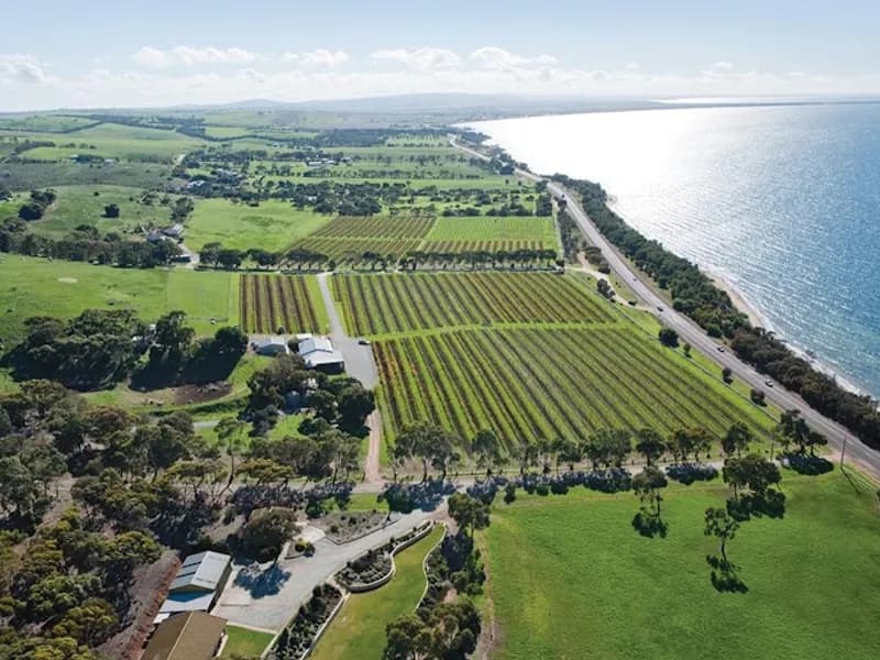 Moffatdale Ridge winery in QLD