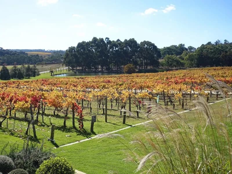 Urban Winery winery in QLD