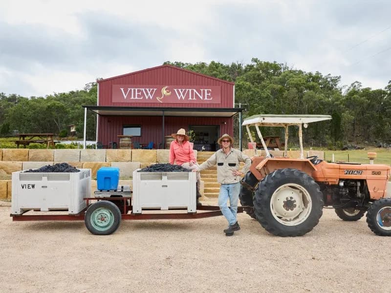 View Wine winery