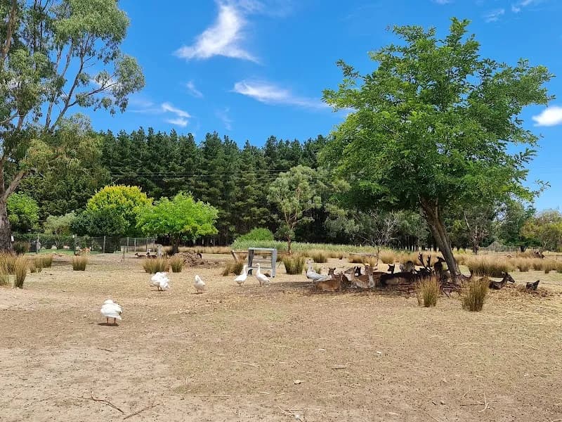 Sirromet Winery winery in Mount Cotton, QLD