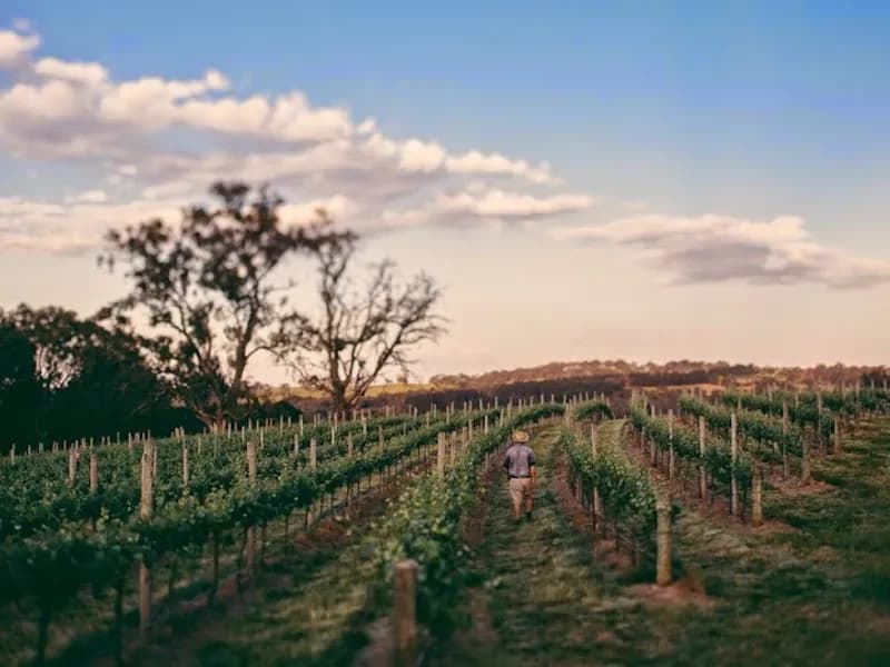 Rockford Winery winery in SA