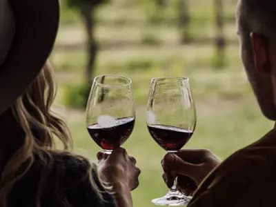 Kies Family Wines winery in SA