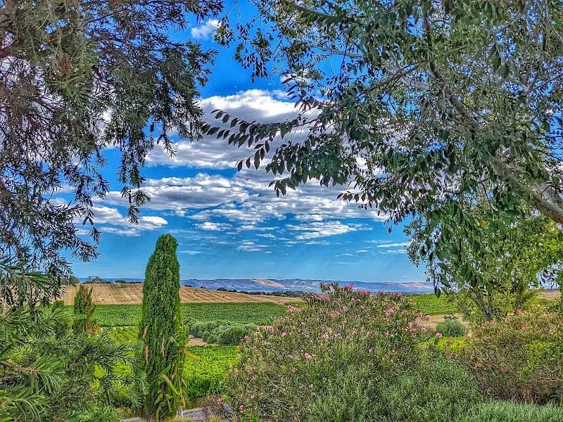 Zema Estate Wines | Coonawarra Winery winery in Coonawarra, SA