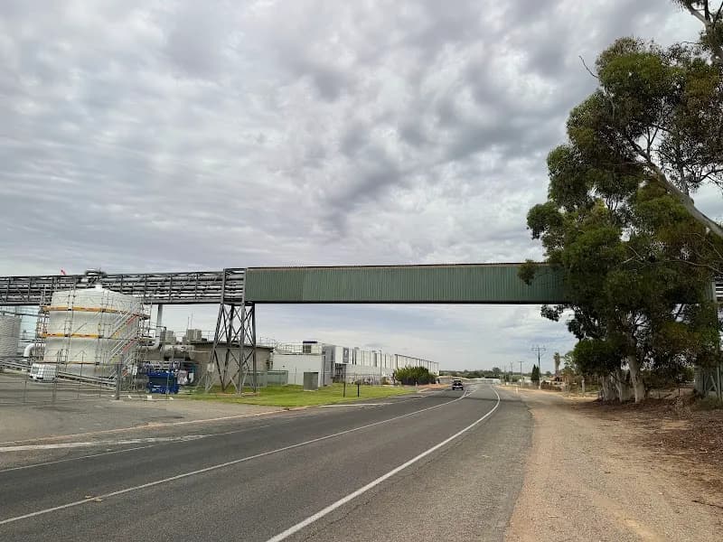 Torbreck winery in SA