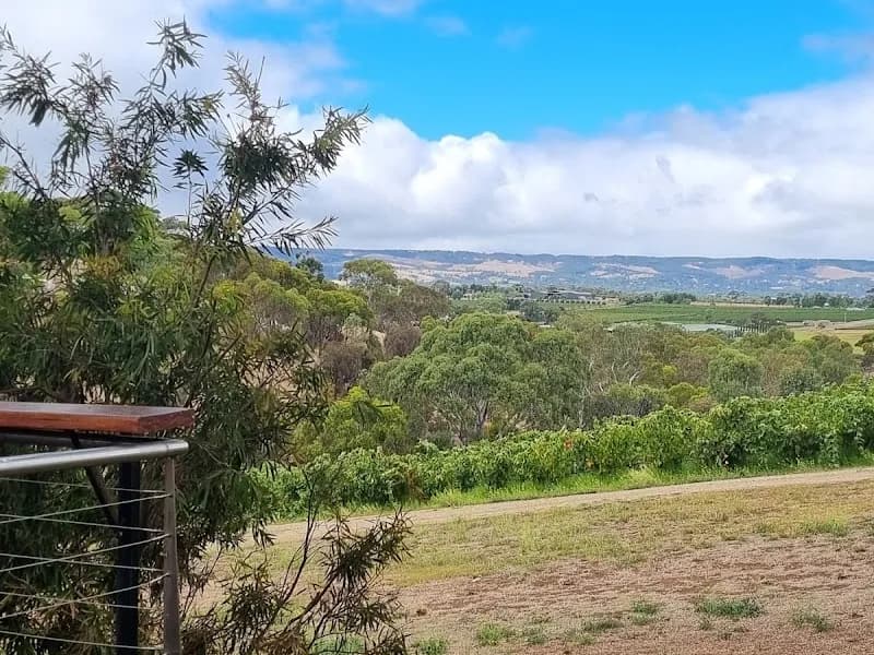 The Lane winery in SA