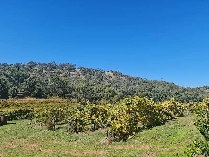 Revenir Winemaking winery in Lenswood, SA