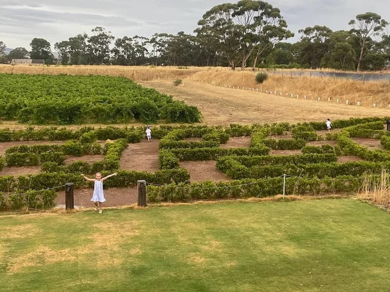 Golding Wines winery in SA