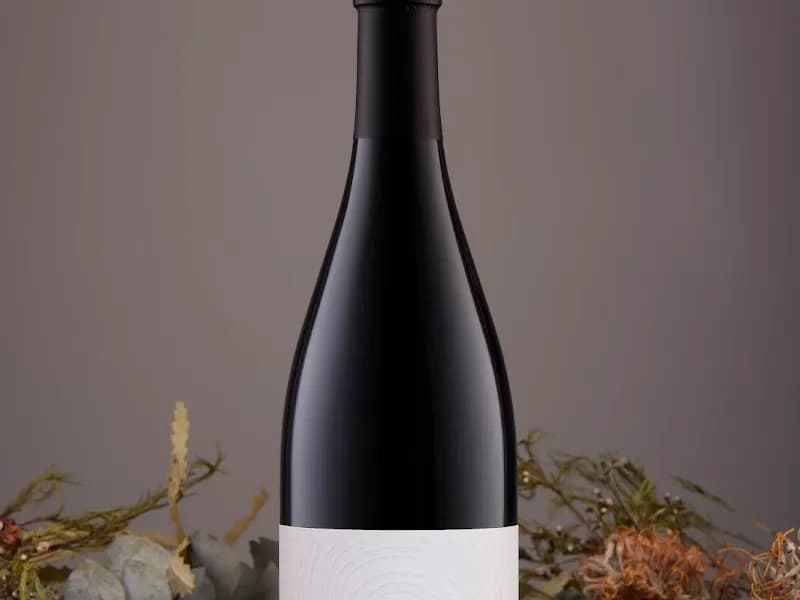 Golding Wines winery in SA