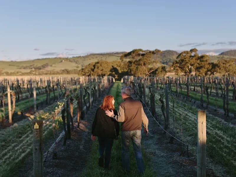 Anderson Hill Winery winery in SA