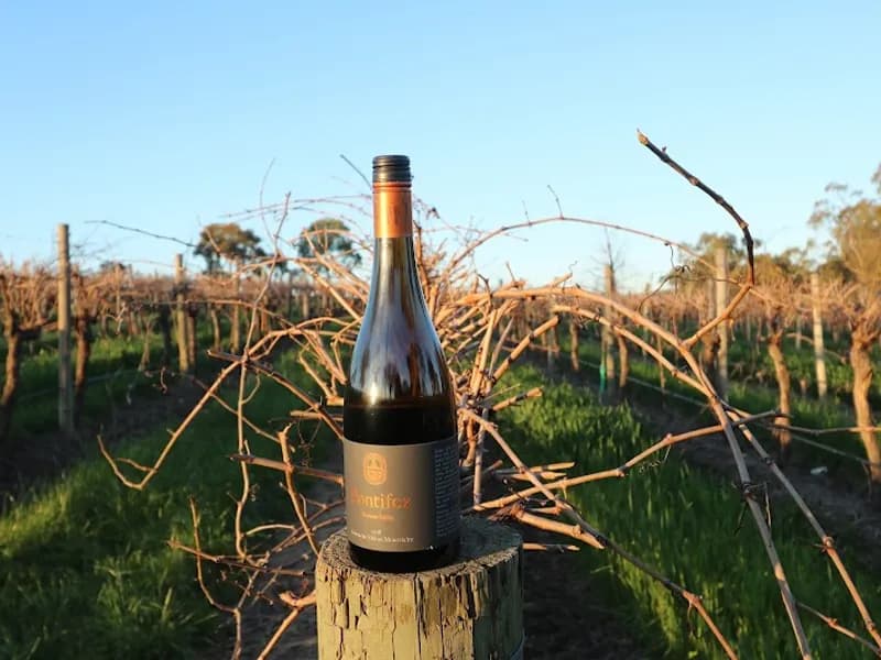 Anderson Hill Winery winery in SA