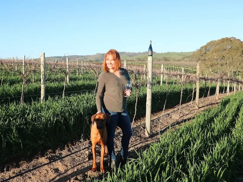 Anderson Hill Winery winery in SA