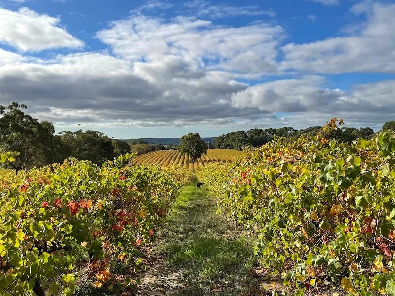 Spoehr Creek winery in SA