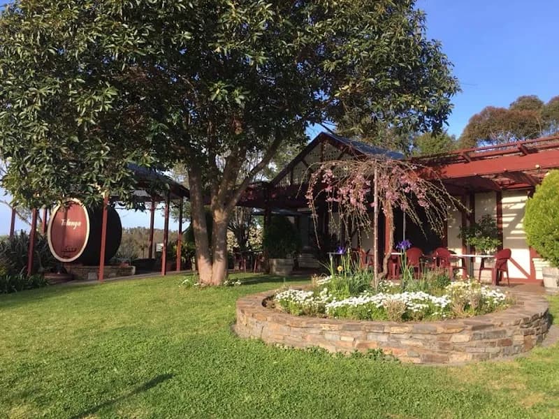 Dudley Winery winery in SA