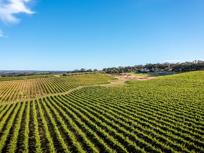 Atze's Corner winery in Nuriootpa, SA