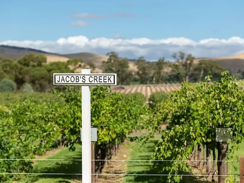 David Franz winery in SA