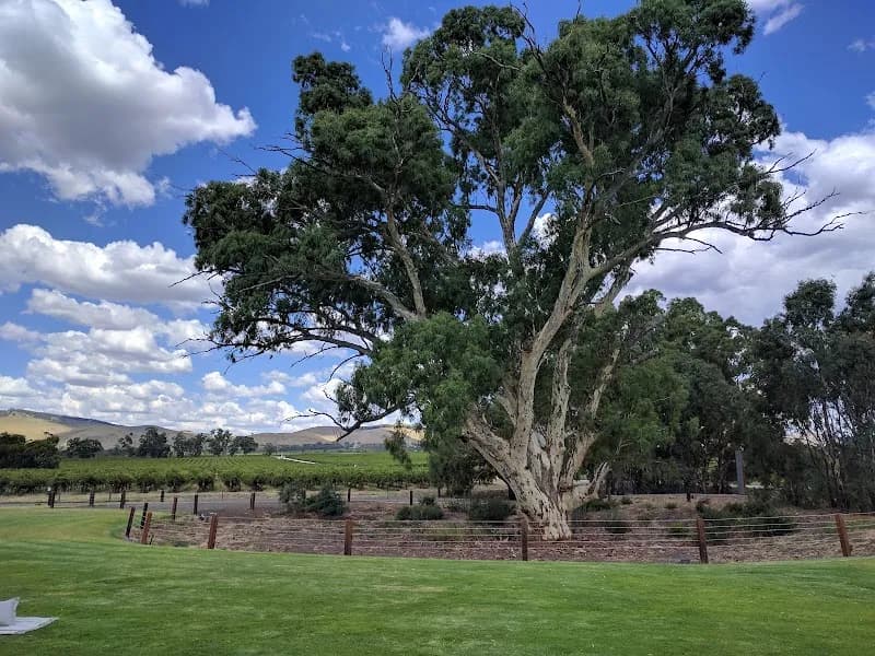 David Franz winery in SA