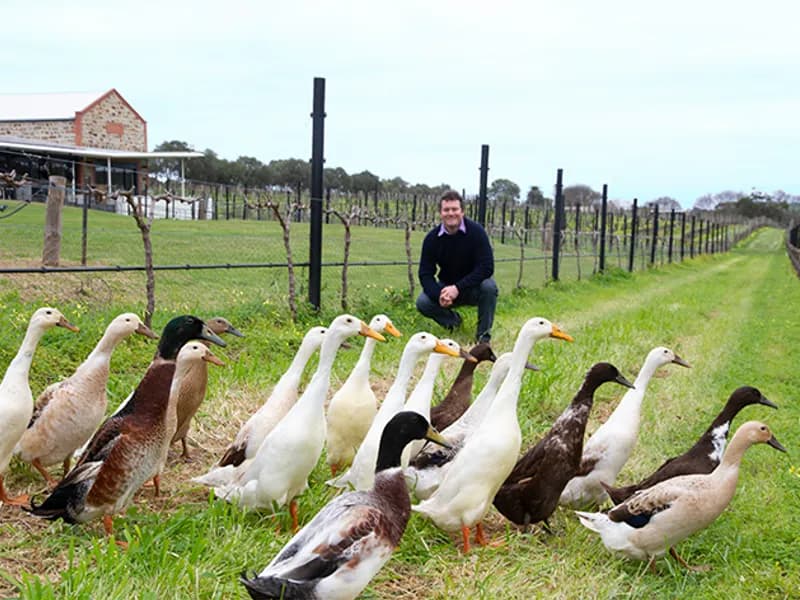 Mr. Riggs Wine Co. winery in SA