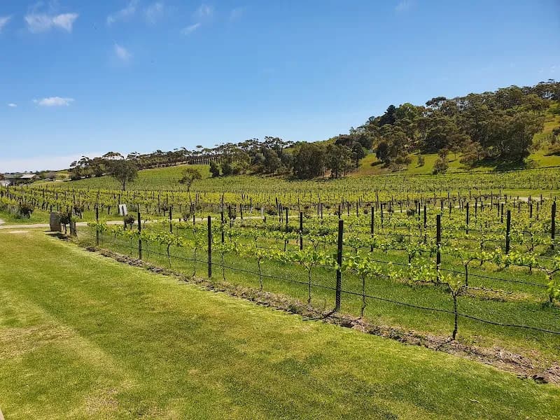 Mr. Riggs Wine Co. winery in SA