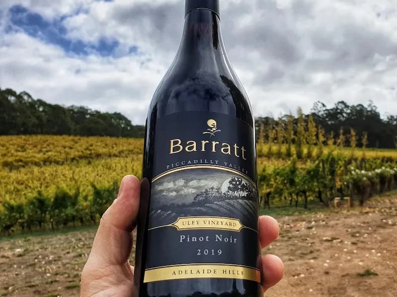 Alpha Box & Dice winery in SA