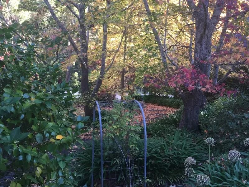 Alpha Box & Dice winery in SA