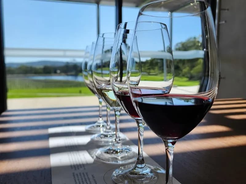 Penny's Hill Winery winery in SA