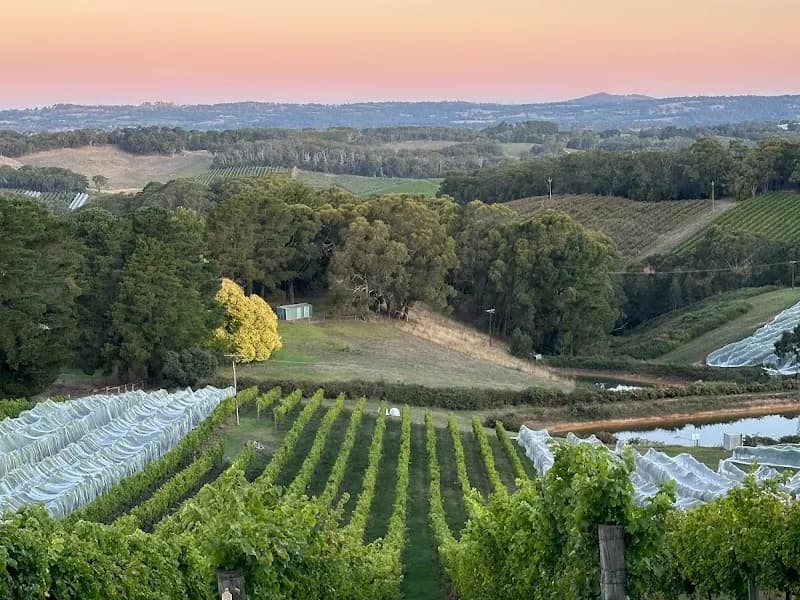 St Hallett Winery winery in SA