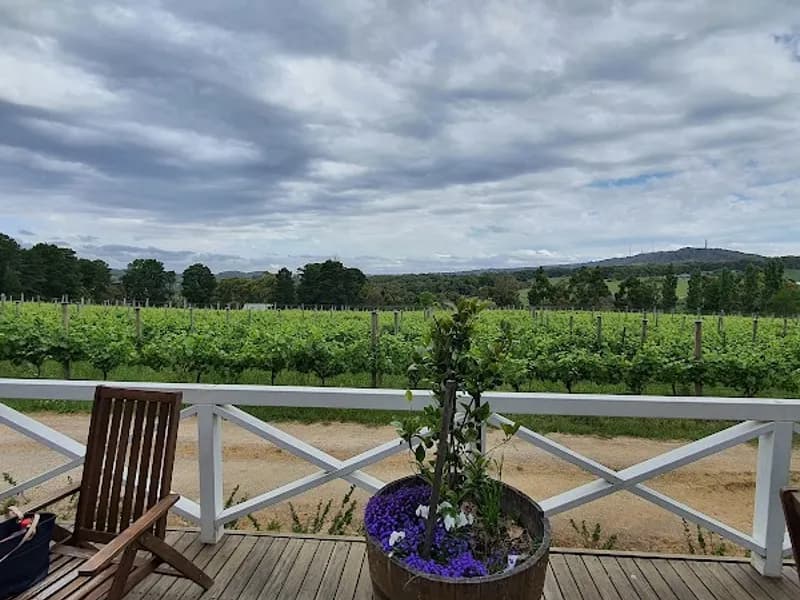 Pernod Ricard Winemakers (Vinarchy) winery in SA