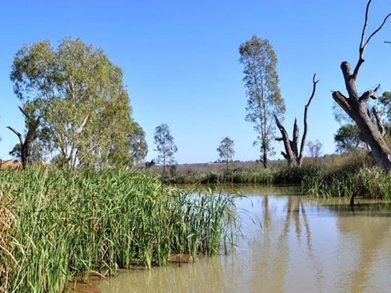 Hardy's winery in SA