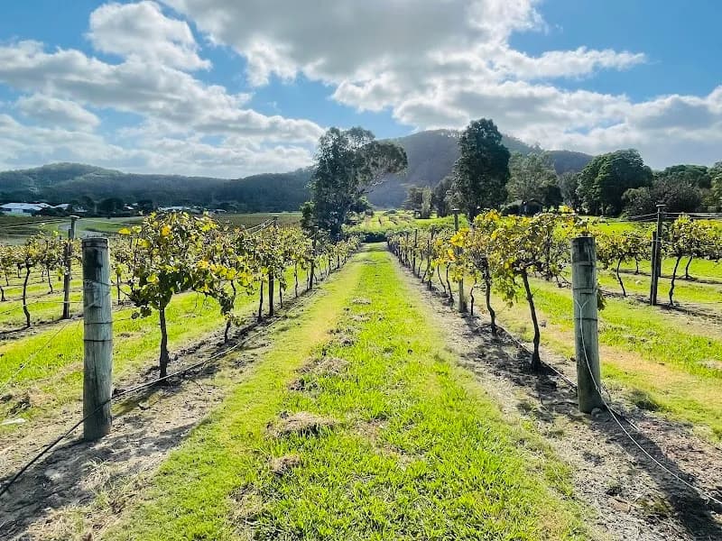 Coolangatta Estate winery in Shoalhaven Heads, NSW