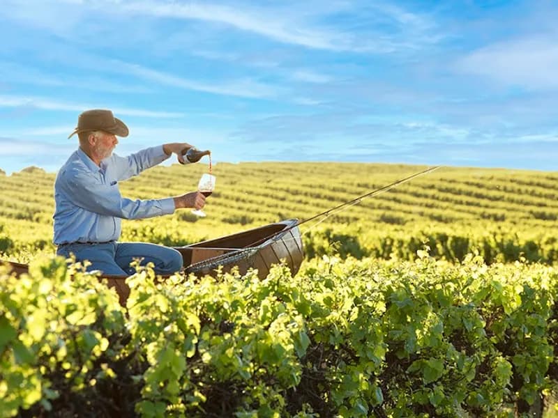 Angoves Winery winery in SA