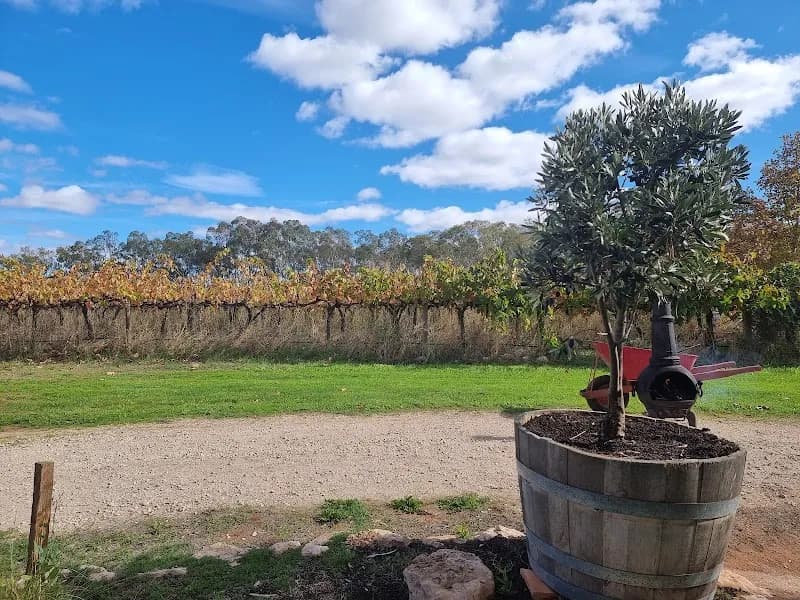 Angoves Winery winery in SA