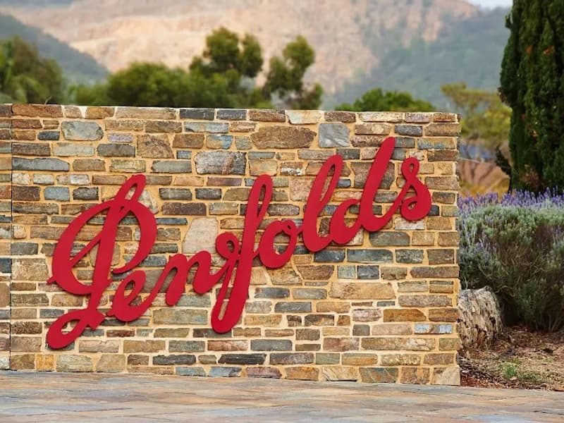 Serafino Wines winery in SA