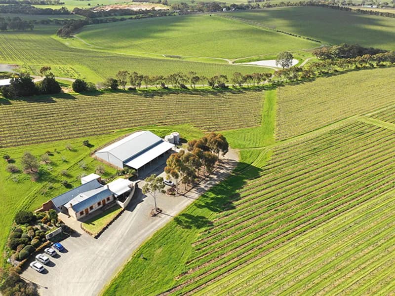 Patritti Wines winery in SA