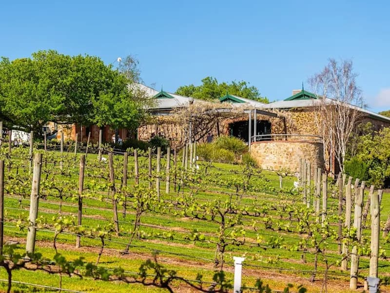 Growers Wine Group winery in SA
