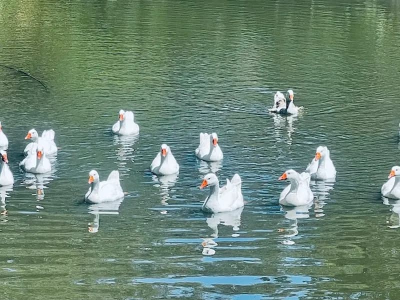 Growers Wine Group winery in SA