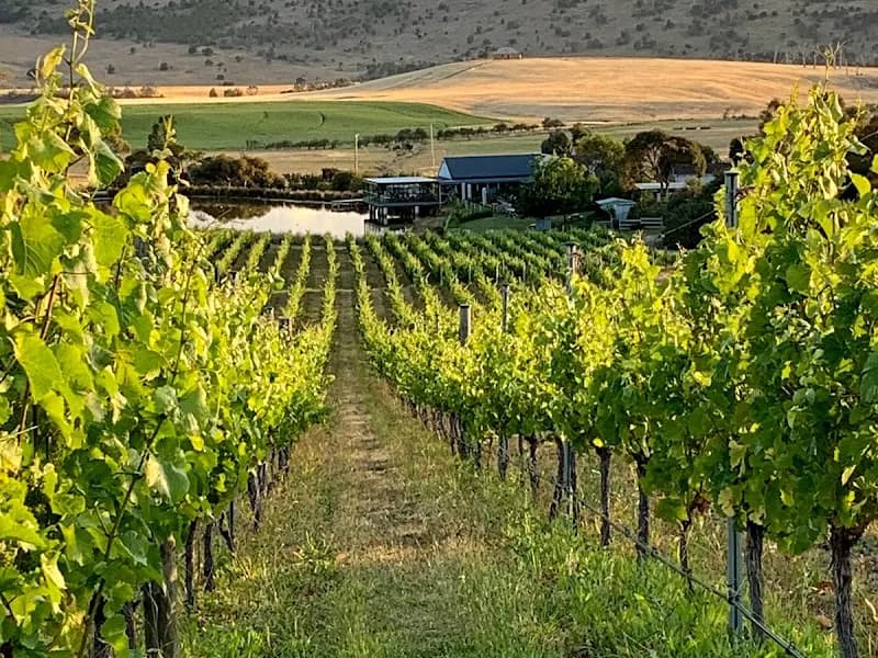 Kingston Estate Winery winery in SA