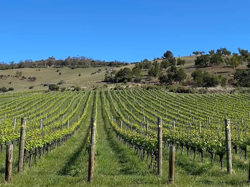 Penfolds Magill winery in SA