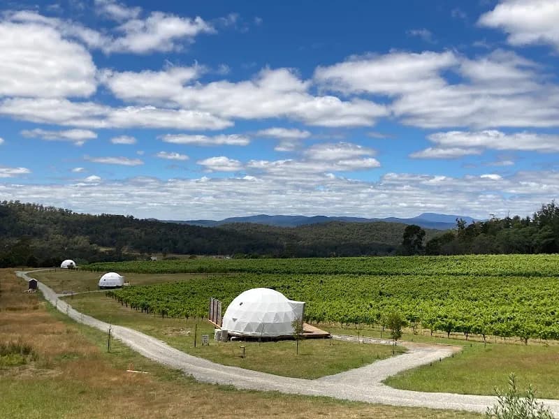 Oliver's Taranga winery in SA