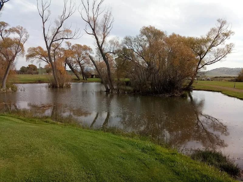 Kahlon Estate Wines winery in SA