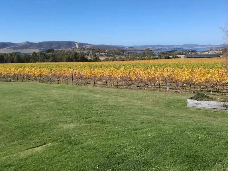 Mallee Estate winery in SA