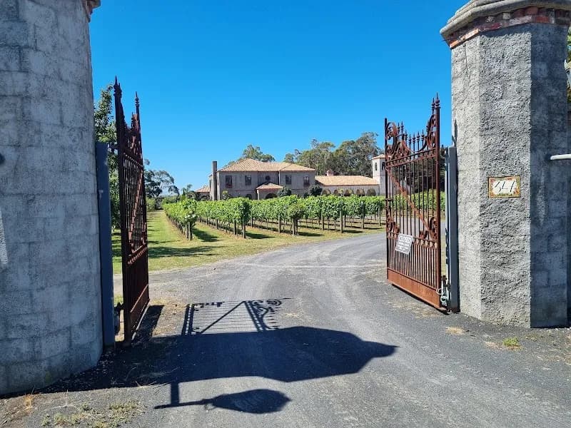 Spring Road Winery winery in SA