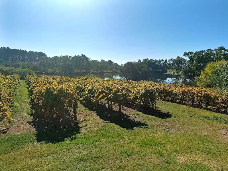 Stone Bridge Wines winery in SA
