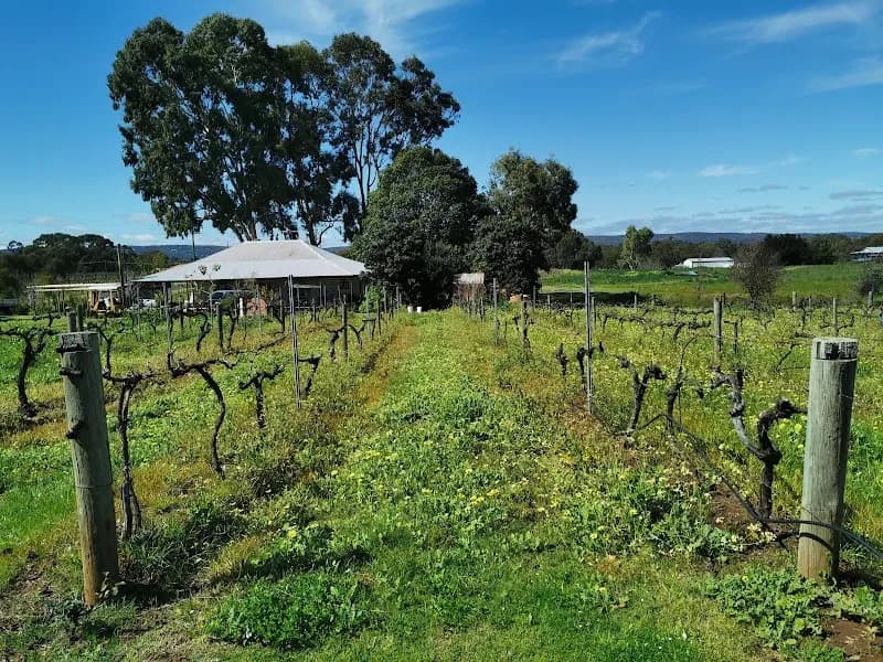 Samson Tall cellar door winery in SA