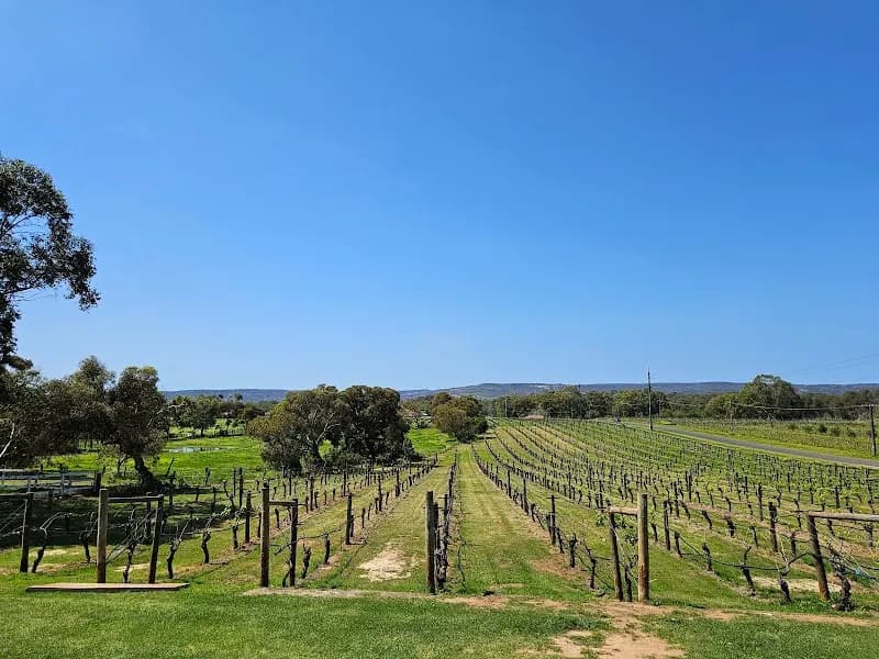 Pauletts winery in Polish Hill River, SA