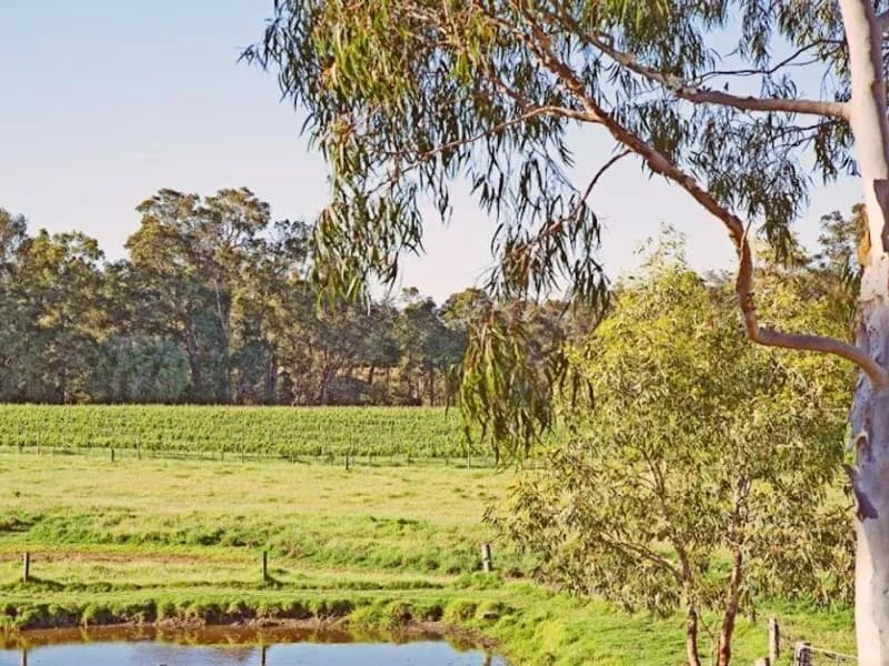 Geoff Merrill Wines winery in SA