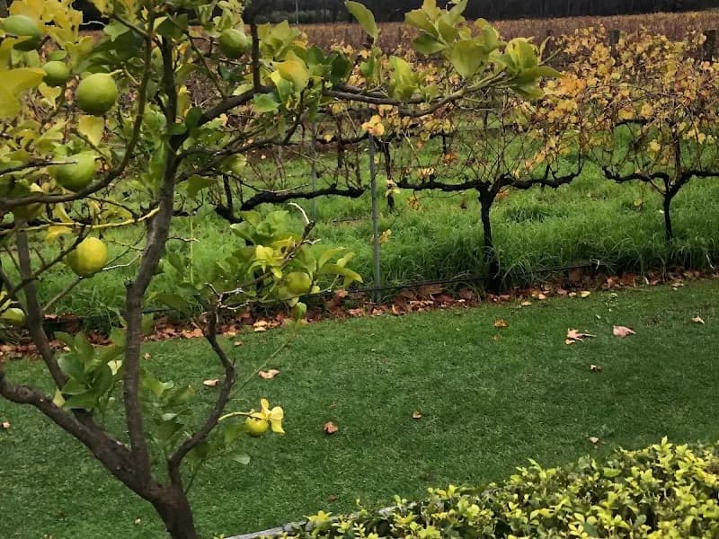 Derwent Estate Wines winery in Granton, TAS